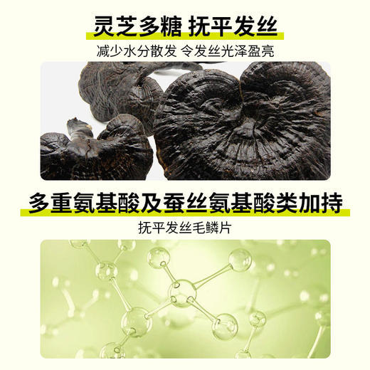 【护发柔顺】超级种子SUPER SEED黑灵芝免洗柔顺乳 商品图2