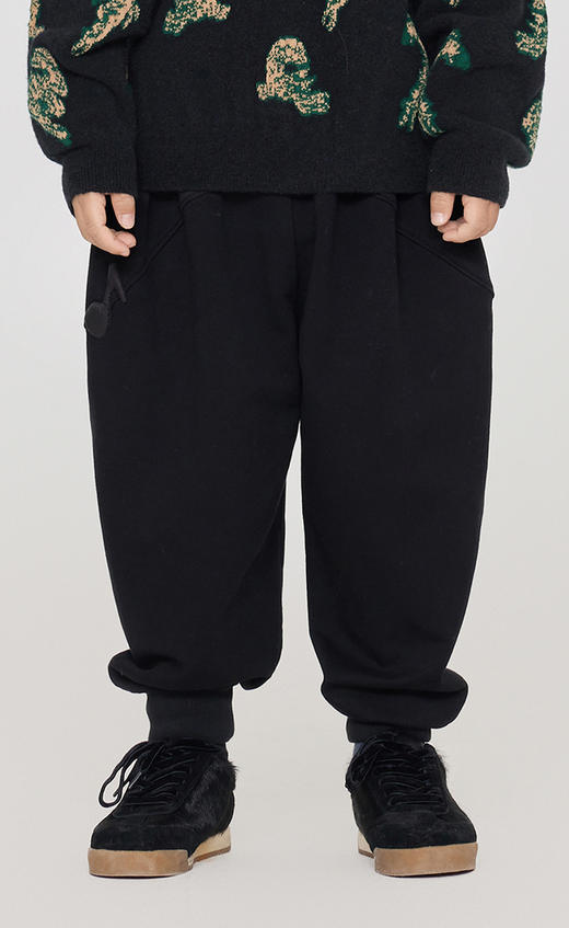 jnby   23年秋款    毛圈布束脚长裤 1N9E12630 商品图6