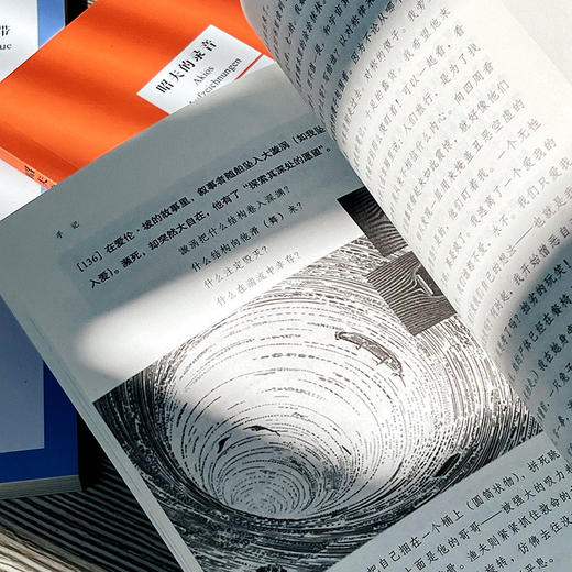 人坐在世界的边缘，笑  套装共5册 菲利普·韦斯著 人类世小说 商品图9