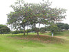 越南头顿美之城高尔夫球场 Vung Tau Paradise Golf Course | 越南高尔夫球场  | 胡志明高尔夫 商品缩略图4