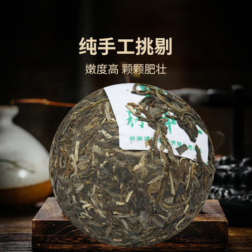 【中老茶开仓专属】澜沧古茶2010年林中王虎沱普洱沱茶生茶250g—简装无礼盒 商品图2