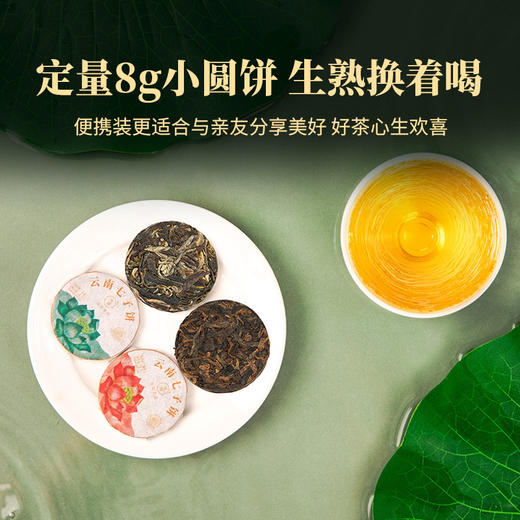 2023年莲饼品鉴礼盒生茶熟茶尝鲜小圆饼便携装送礼礼盒装96克/盒 商品图1
