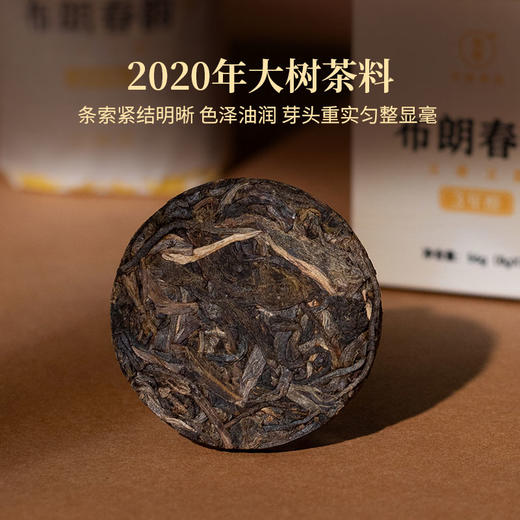 2023年布朗春韵云南勐海乔木古树春茶小圆饼8克/片便携随身茶饮56克/盒 商品图3