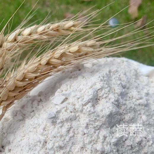 归郢 | 生态全麦面粉（2.5kg）|麦香浓郁 商品图1