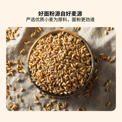 北大荒大荒印象多用途麦芯粉2.5kg 商品图2