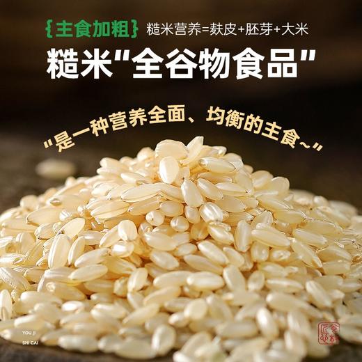 有机糙米东北农家新米五谷杂粮粗粮粳米谷物糙米粥大米饭轻食代餐 商品图1