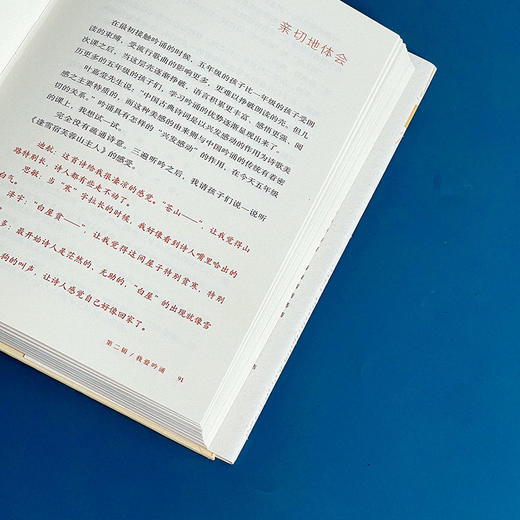 把孩子带向世界 大夏书系 朱爱朝的母语课堂 商品图10