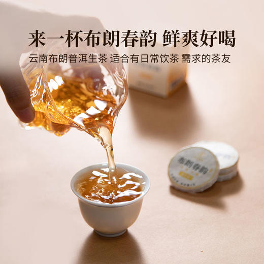 2023年布朗春韵云南勐海乔木古树春茶小圆饼8克/片便携随身茶饮56克/盒 商品图0