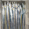 舟山野生带鱼（海钓带鱼鱼鳞完整，油带是网捕带鱼） 商品缩略图1