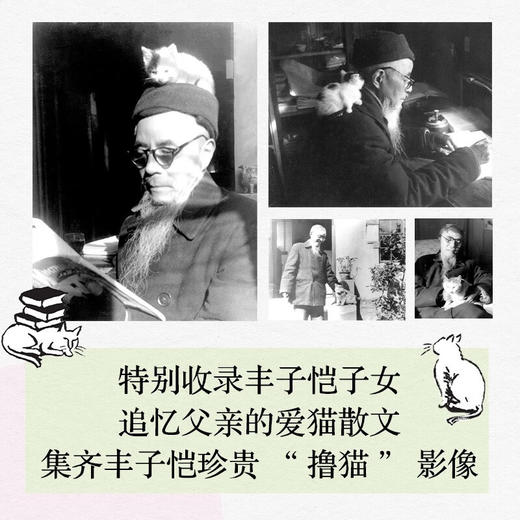 猫的可爱是群众意见 丰子恺 著 文学 商品图2
