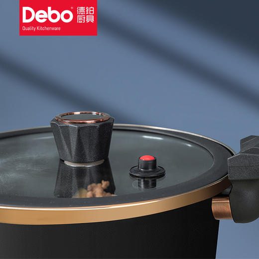 Debo德铂嘉尼特珐琅显温定时微压锅家用汤锅不粘锅 商品图3