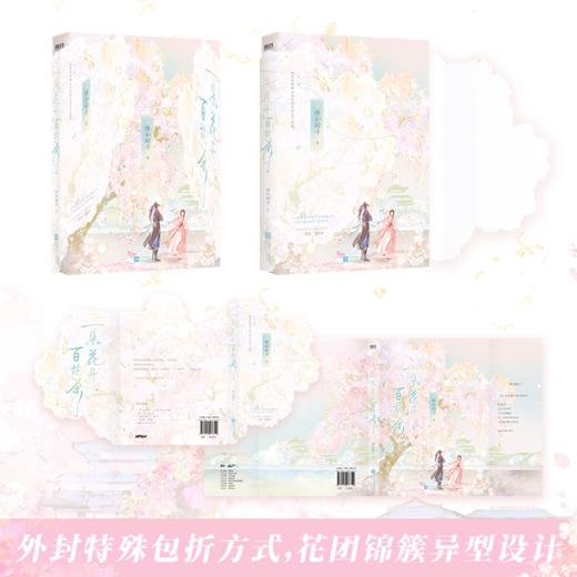 一朵花开百花杀 人气作者维和粽子江湖文代表作 商品图3