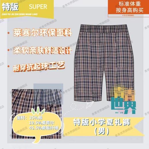 深圳校服小学生夏季礼服(男款)(女款)套装 青青世界特版 商品图6