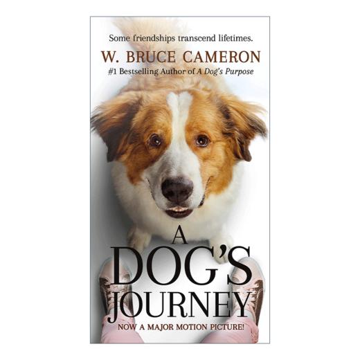 英文原版小说 A Dog's Journey一条狗的使命2 说好永远陪伴你 英文版 进口英语原版书籍 商品图0
