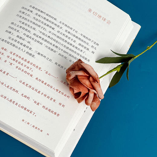 把孩子带向世界 大夏书系 朱爱朝的母语课堂 商品图9