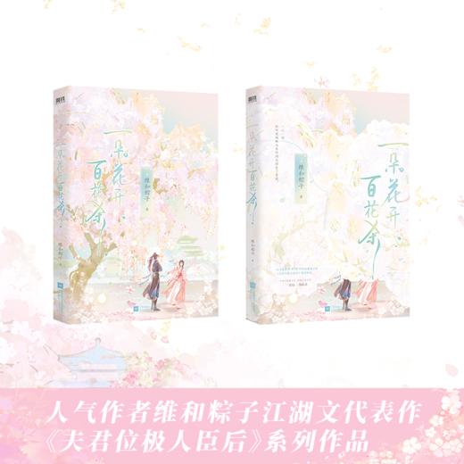 一朵花开百花杀 人气作者维和粽子江湖文代表作 商品图4