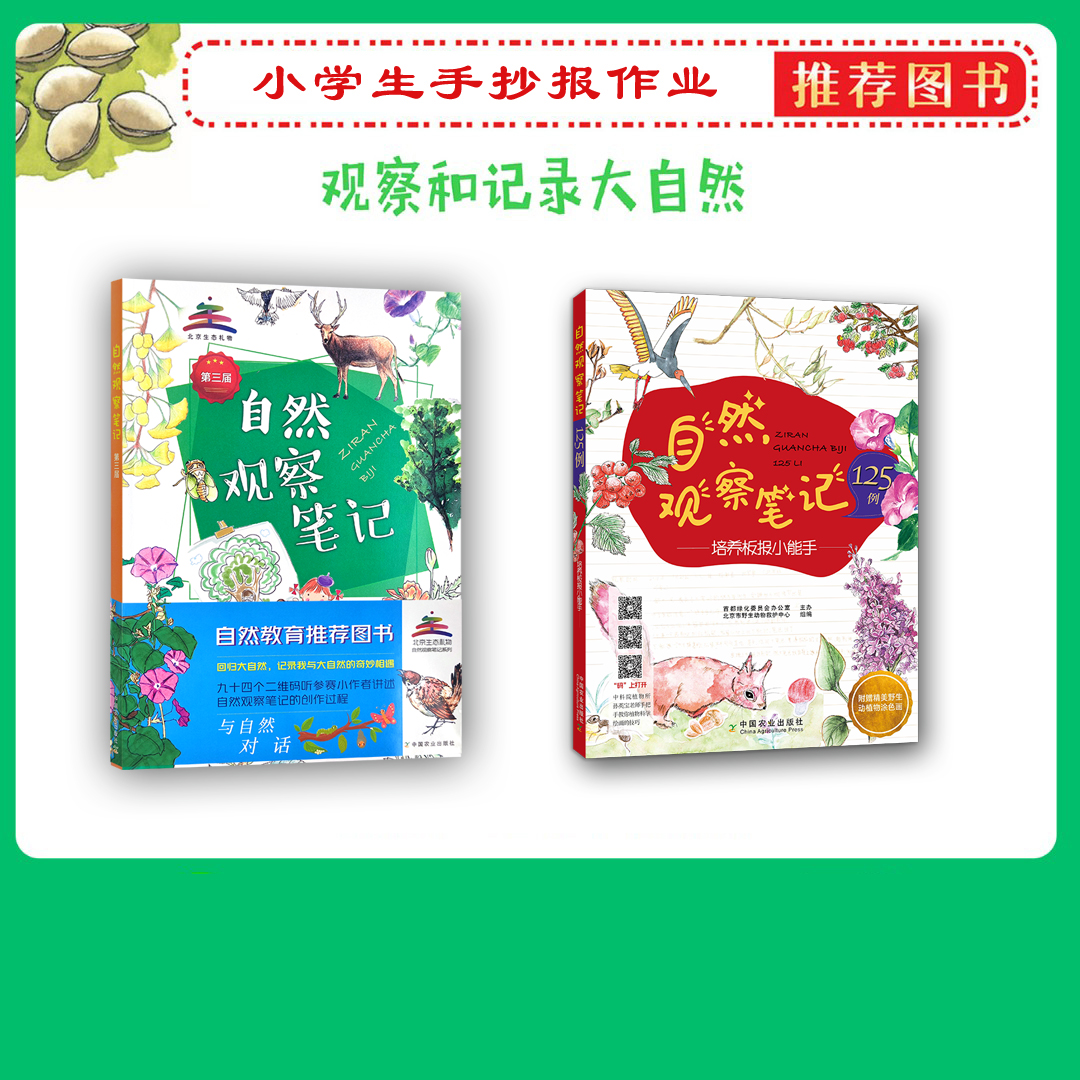自然观察笔记（2册）孩子手抄报作业参考