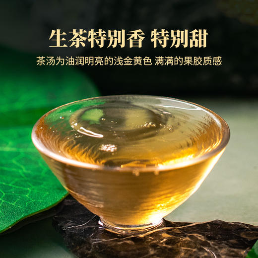 2023年莲饼云南普洱生茶香气丰富甜爽口感勐海核心产区古树春茶357克/片 商品图1