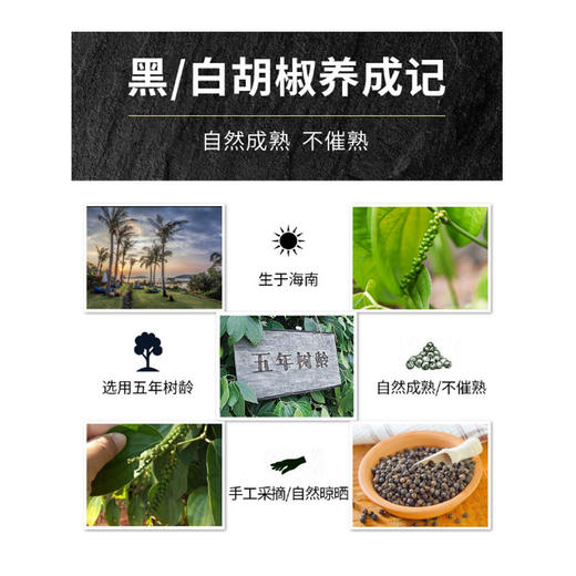 黑胡椒粉 100g*2 商品图3