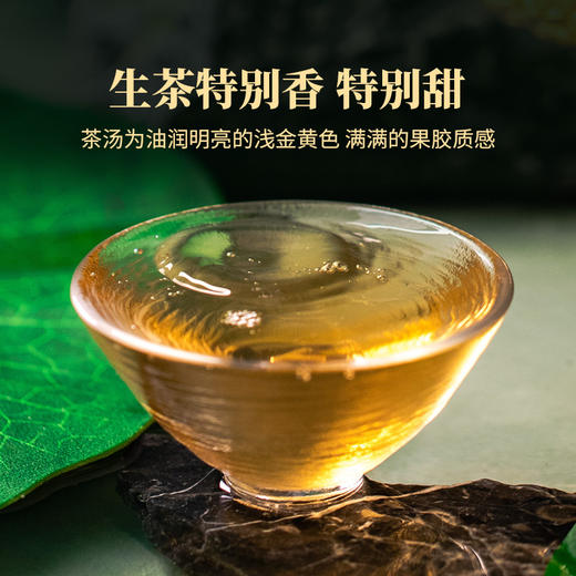 2023年莲饼品鉴礼盒生茶熟茶尝鲜小圆饼便携装送礼礼盒装96克/盒 商品图4