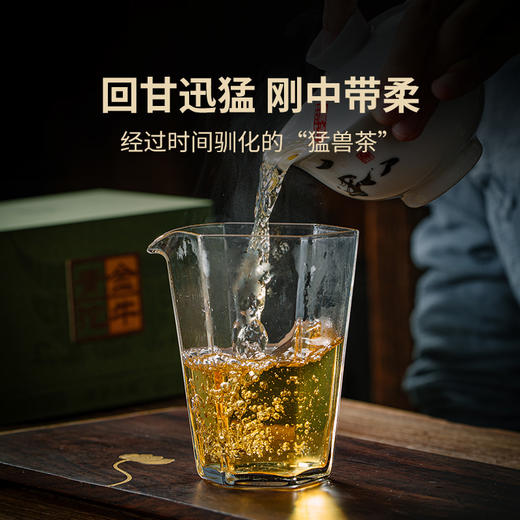 【中老茶开仓专属】澜沧古茶2010年林中王虎沱普洱沱茶生茶250g—简装无礼盒 商品图3