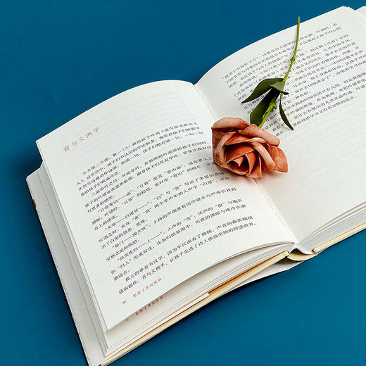 把孩子带向世界 大夏书系 朱爱朝的母语课堂 商品图8