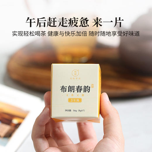 2023年布朗春韵云南勐海乔木古树春茶小圆饼8克/片便携随身茶饮56克/盒 商品图1