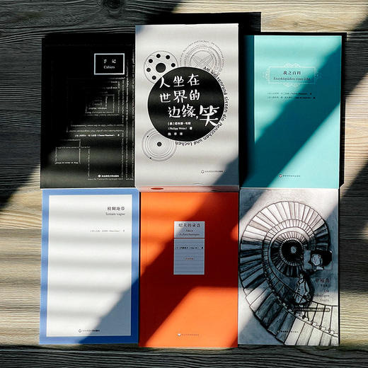 人坐在世界的边缘，笑  套装共5册 菲利普·韦斯著 人类世小说 商品图3