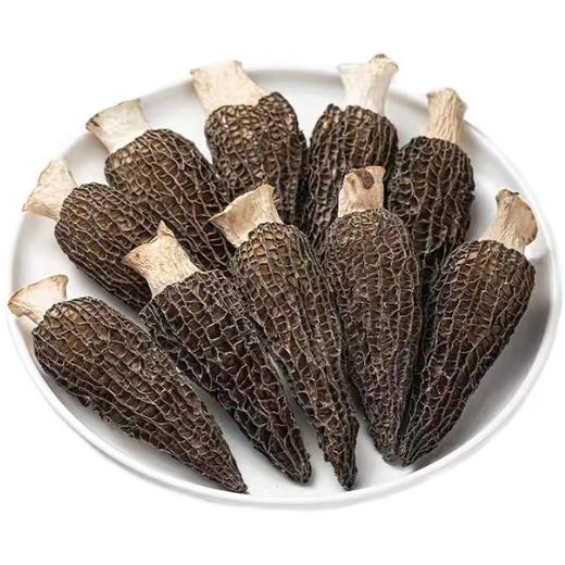 云南保山施甸羊肚菌（干货），100g/袋 商品图0