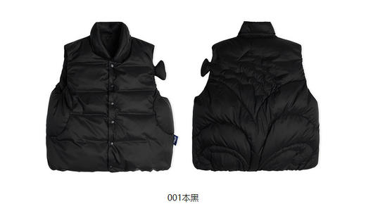 jnby  23年秋款  经典百搭羽绒马甲  YN9C10530 商品图10