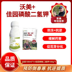 防冻抗逆提质方案包   一套兑水300斤   家园沃美100毫升+佳园磷酸二氢钾100克