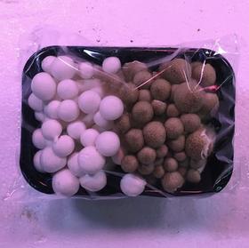 双拼菇（海鲜菇+蟹味菇）