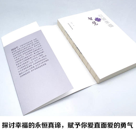 智慧引领幸福 商品图2