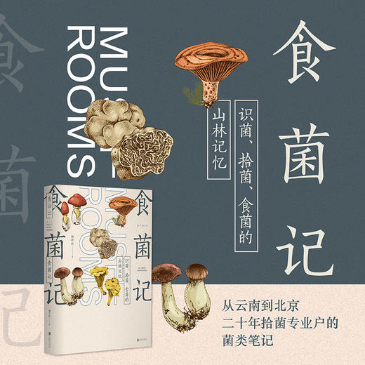 食菌记：识菌、拾菌、食菌的山林记忆 商品图1