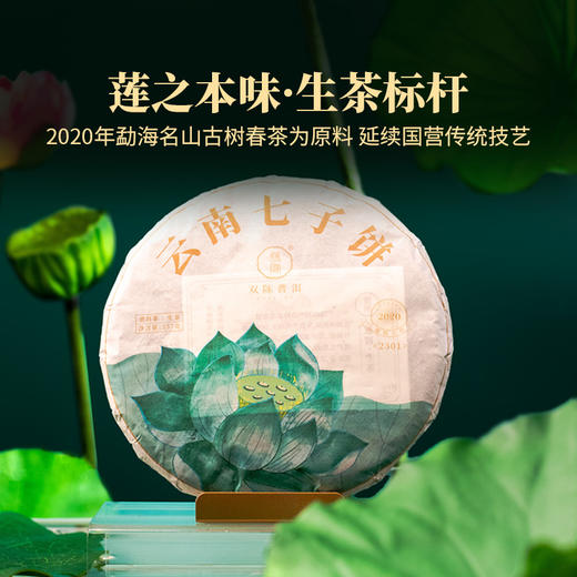 2023年莲饼云南普洱生茶香气丰富甜爽口感勐海核心产区古树春茶357克/片 商品图0