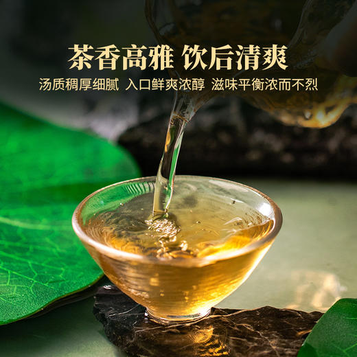 2023年莲饼云南普洱生茶香气丰富甜爽口感勐海核心产区古树春茶357克/片 商品图3