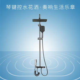 桑乐（SANGLE）卫浴花洒SH7012Q