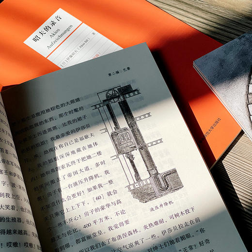 人坐在世界的边缘，笑  套装共5册 菲利普·韦斯著 人类世小说 商品图11