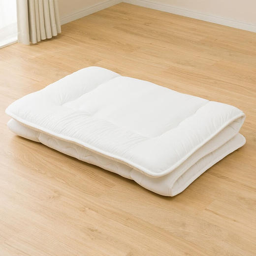 抗菌防螨床褥N 双人 商品图1