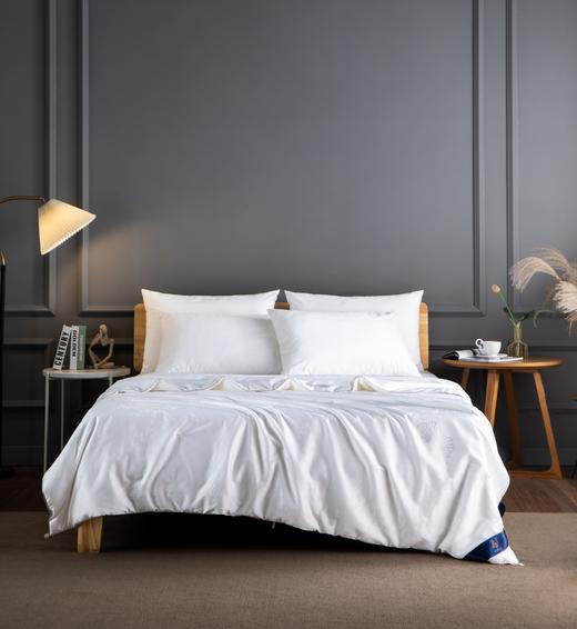 【远梦】纯蚕丝花香叶语四季被 商品图2