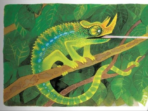 聪明的变色龙 商品图0