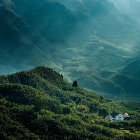 天目山景区门票2张