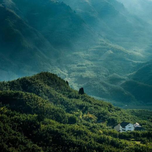 天目山景区门票2张 商品图0
