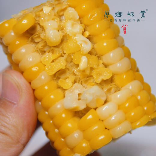 有机玉米棒（基地直发-极兔包邮） | 多种规格，来自山西忻州，生产者：玉米兄弟【合作生产，公平贸易】 商品图10