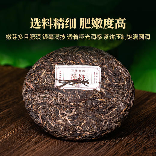 2023年莲饼云南普洱生茶香气丰富甜爽口感勐海核心产区古树春茶357克/片 商品图2