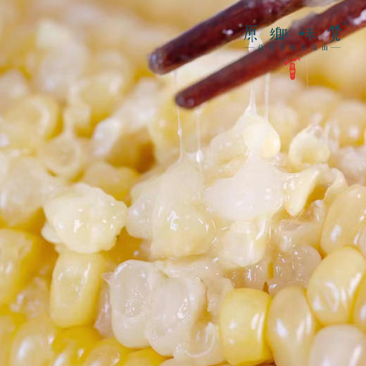 有机玉米棒（基地直发-极兔包邮） | 多种规格，来自山西忻州，生产者：玉米兄弟【合作生产，公平贸易】 商品图4