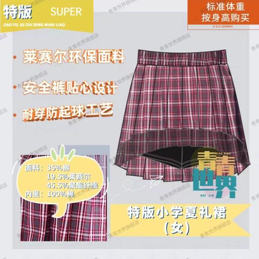 深圳校服小学生夏季礼服(男款)(女款)套装 青青世界特版 商品图5