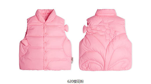 jnby  23年秋款  经典百搭羽绒马甲  YN9C10530 商品图11