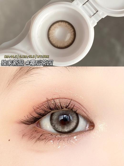 Doragina·年抛  霜后茶园 14.5  慕铂金亚麻驼色垂泪感设计！高光米麻薯甜茶色芭比瞳  眼神一整个就透着纯欲诱惑！！韩产0-1000度<一副两片> 商品图1