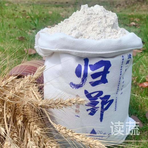 归郢 | 生态全麦面粉（2.5kg）|麦香浓郁 商品图2